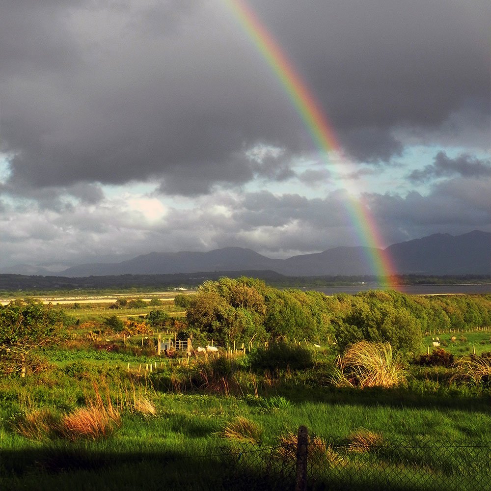 Rainbow in Irish field
